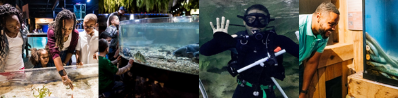 Difference-MakerDays-Greater Cleveland-Aquarium-Release